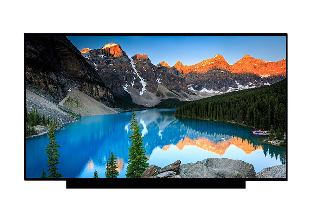 15.6'' LCM156CS0174D 1920*1080 16:9