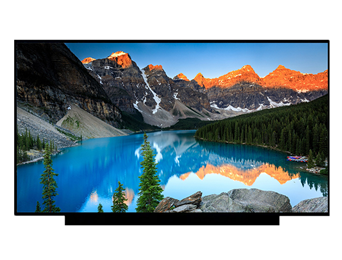 15.6'' LCM156CS0174D 1920*1080 16:9